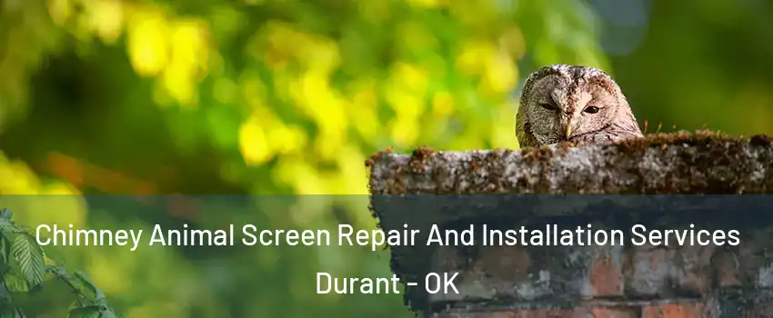  Chimney Animal Screen Repair And Installation Services Durant - OK