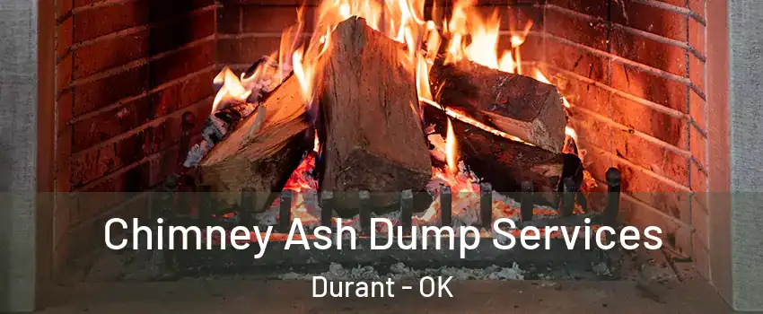  Chimney Ash Dump Services Durant - OK