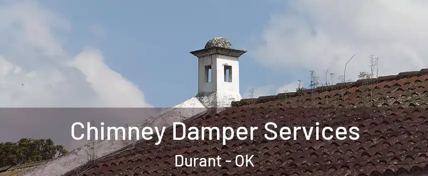  Chimney Damper Services Durant - OK