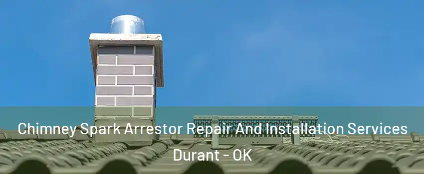 Chimney Spark Arrestor Repair And Installation Services Durant - OK