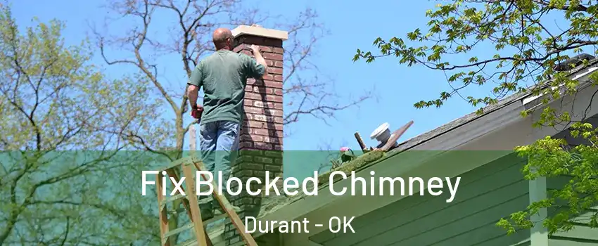  Fix Blocked Chimney Durant - OK